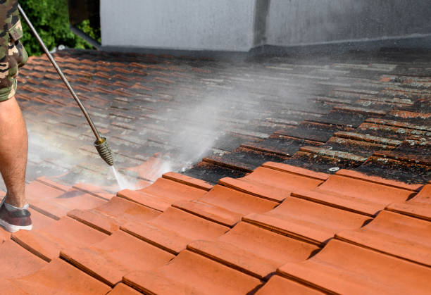 Best Roof Power Washing Services  in Brookside, NJ